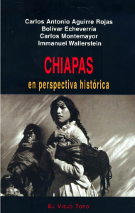 chipas_en_perspectiva