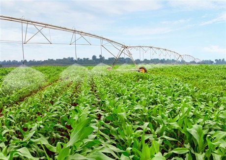 Grow nueva visión para la agricultura