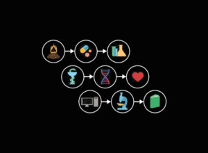 Cómo la evolución configura nuestras vidas