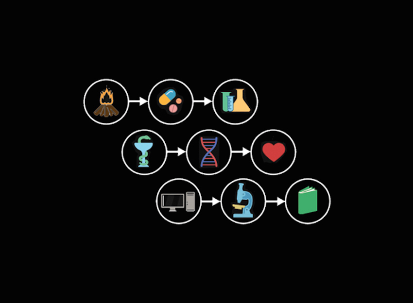 Cómo la evolución configura nuestras vidas