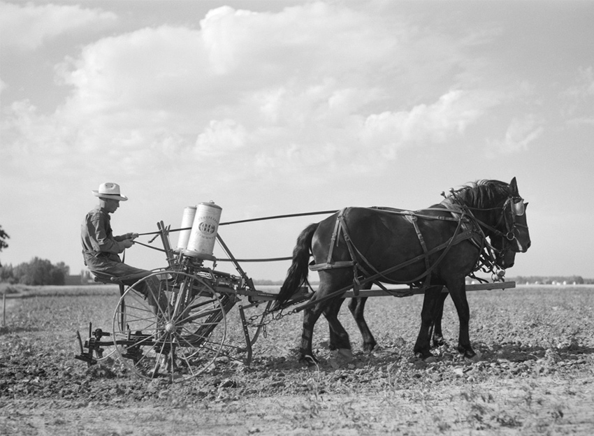 Fiódor Dostoievski El campesino Maréi