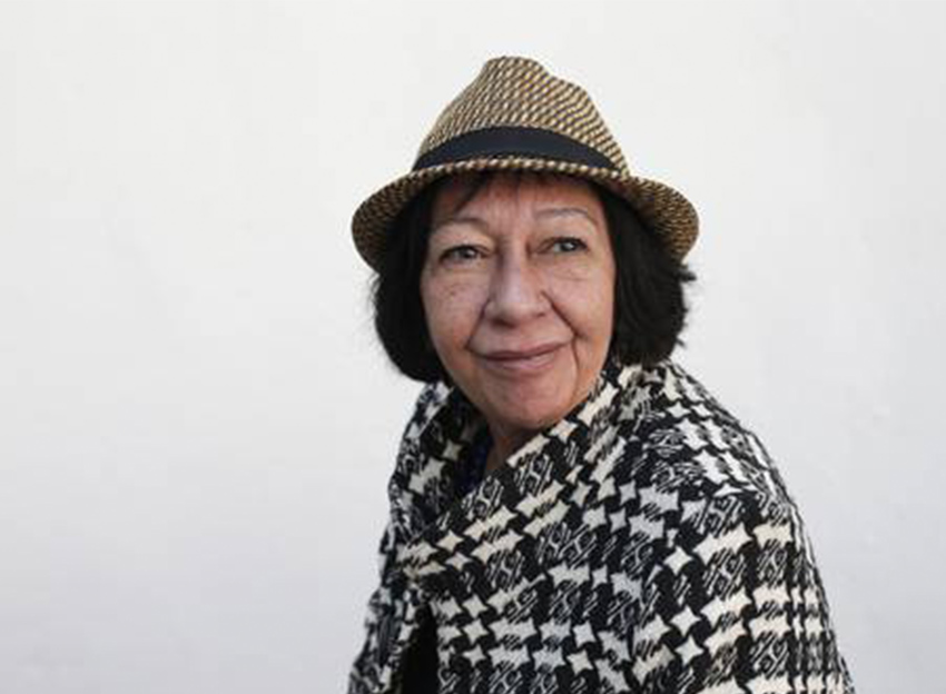 Diarios y memorias Vilma Fuentes